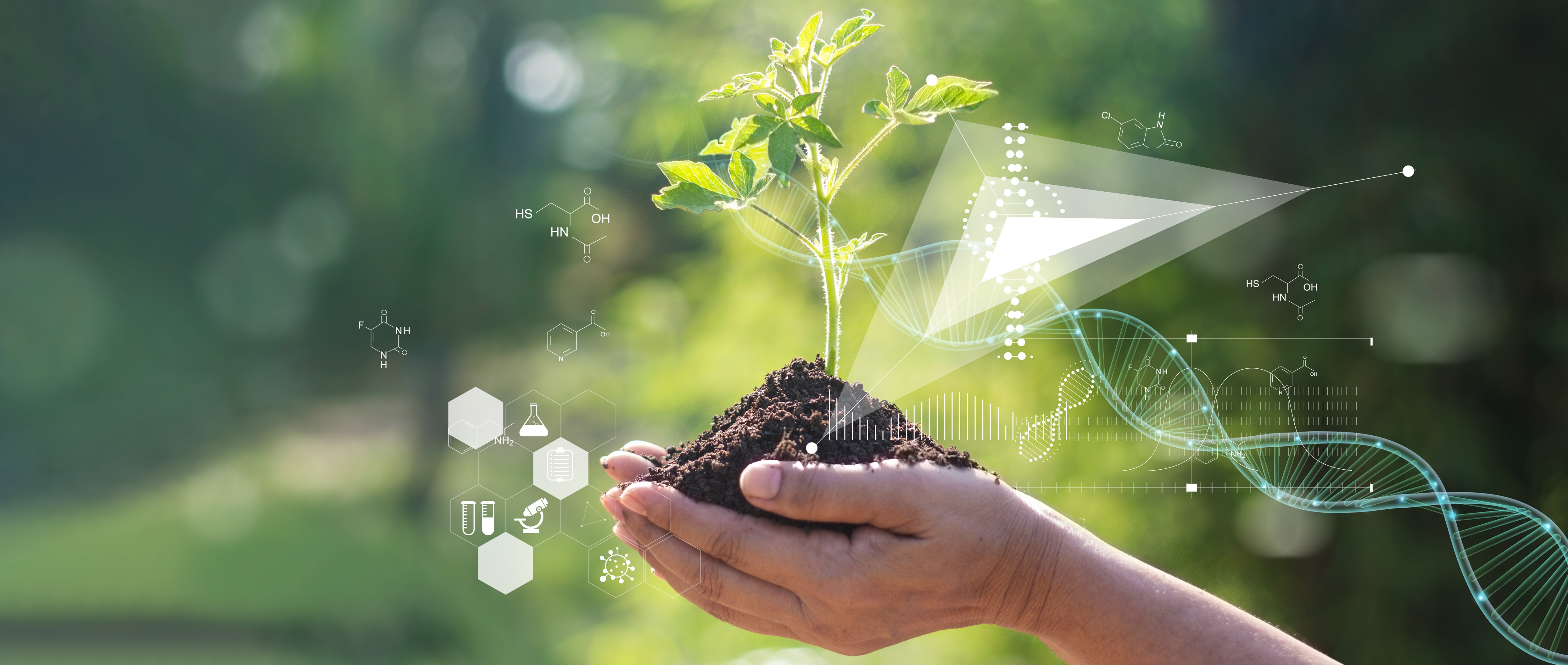 Natural Sciences background