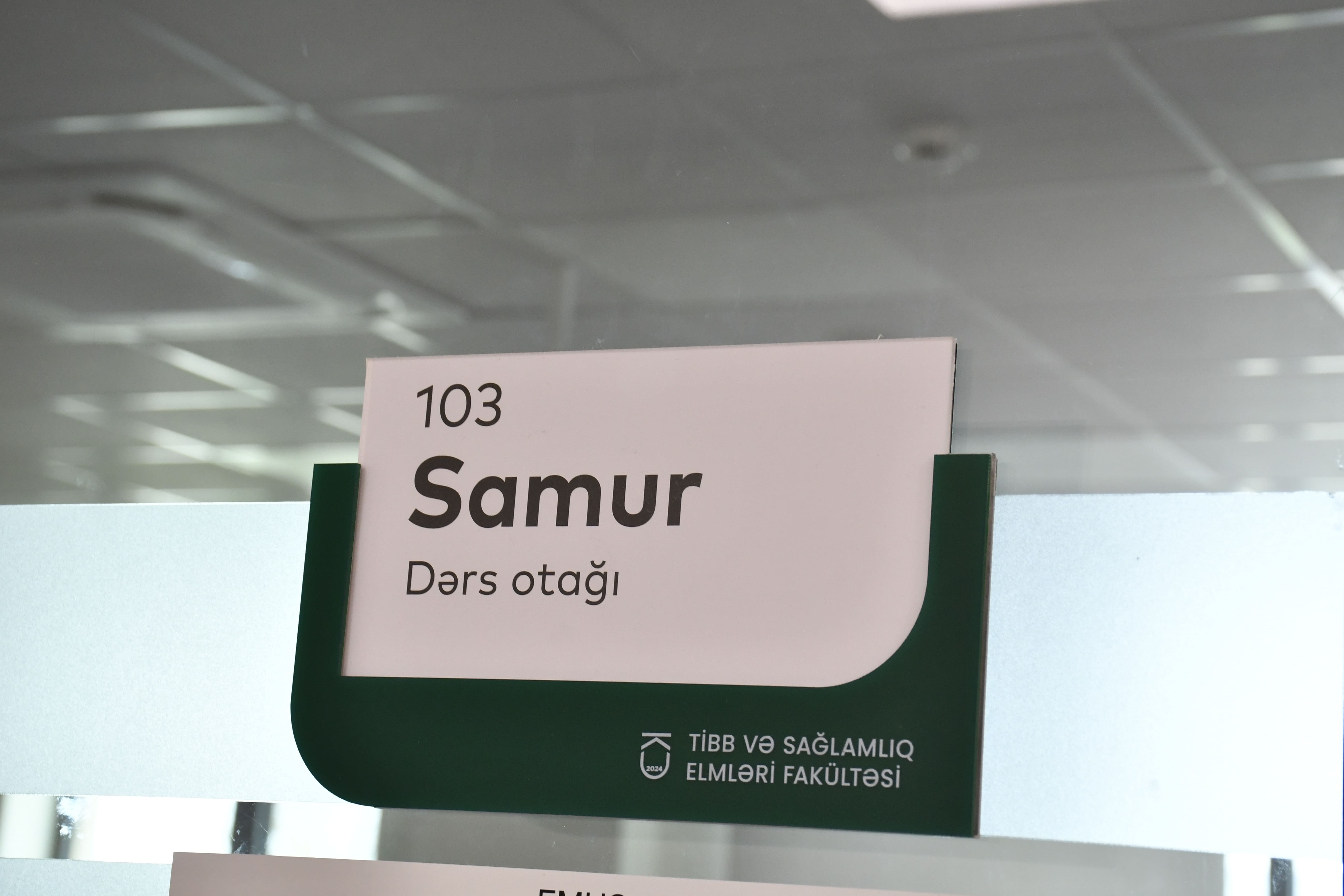 Samur