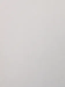 empty1