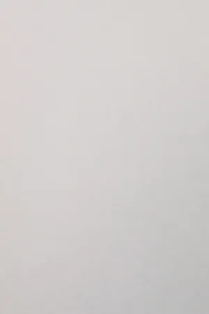 empty1